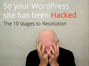 So your WordPress Website has been hacked